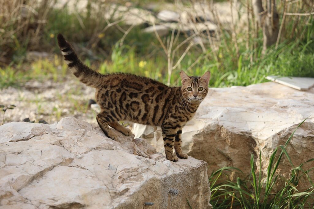 美容院での白髪染めが失敗しないためのポイントは？