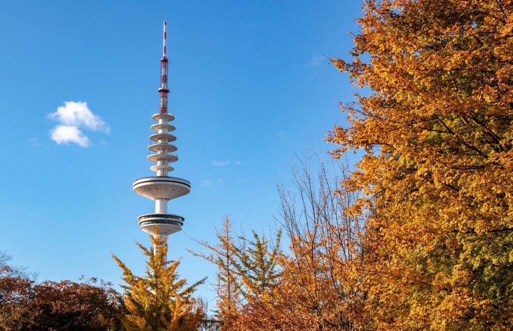 テラヘルツカッサで白髪改善は本当に効果があるのか？