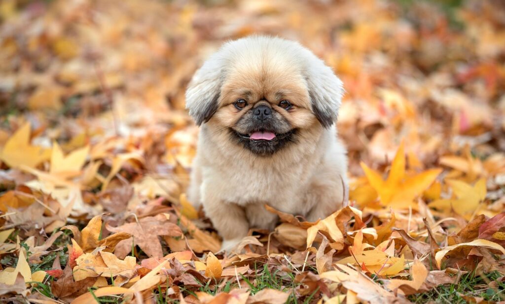 睡眠不足が原因で増える白髪の対策方法は？