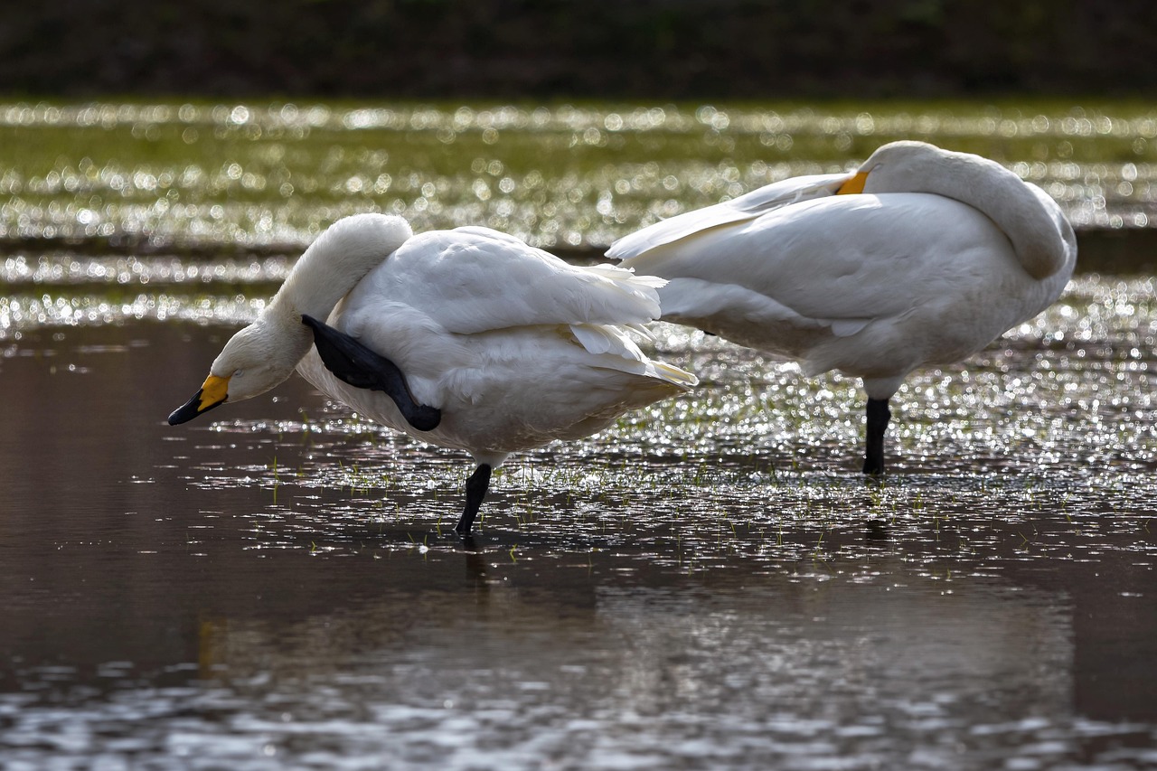 白髪染めによる痒みの対処法は？
