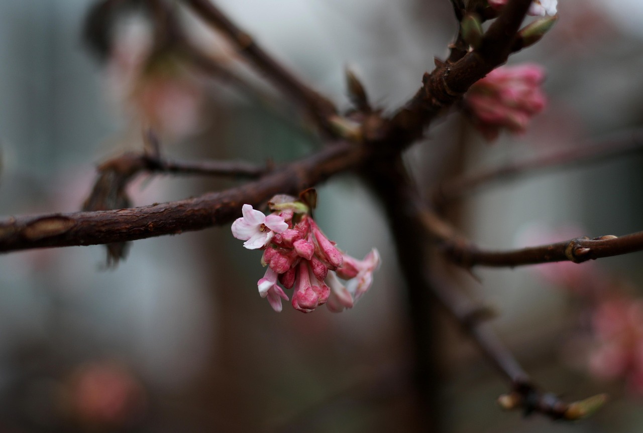 白髪が増えるのを止める方法にはどんなものがある？
