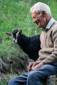 白髪改善に効果的な食べ物を毎日摂るには？