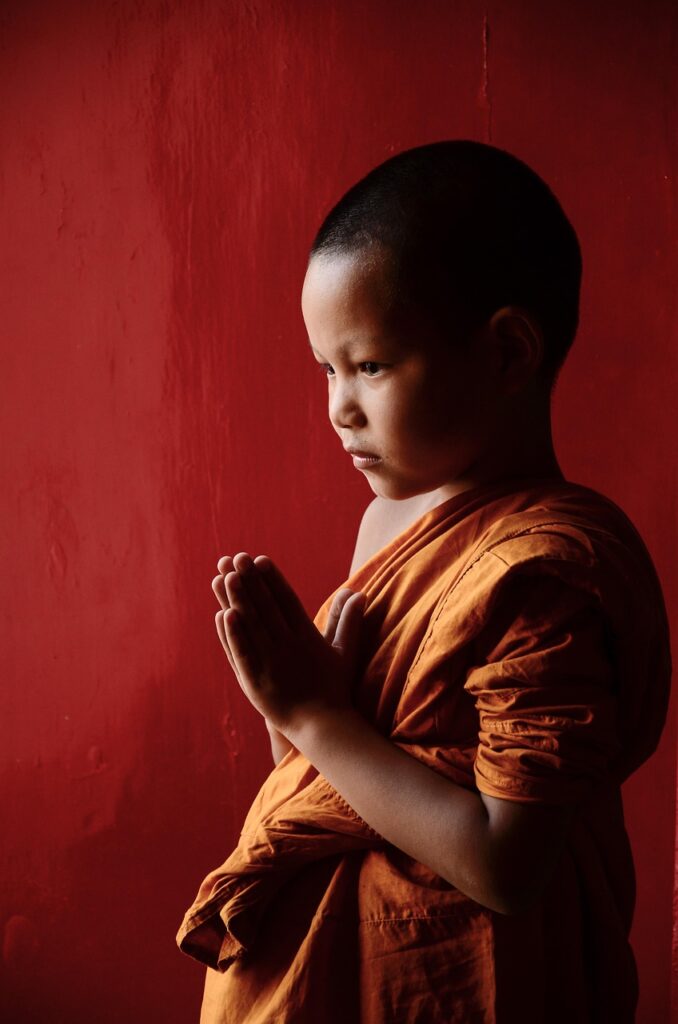 ためしてガッテンの白髪対策を初心者向けに解説しているのは？