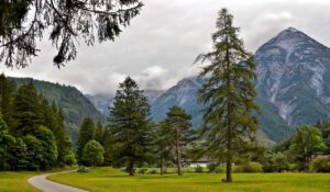 白髪対策に効果的な頭皮環境を整える方法は？